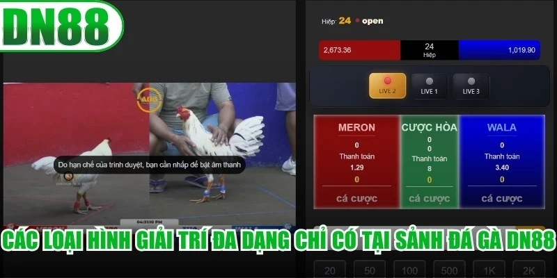 Các loại hình giải trí đa dạng chỉ có tại sảnh đá gà DN88