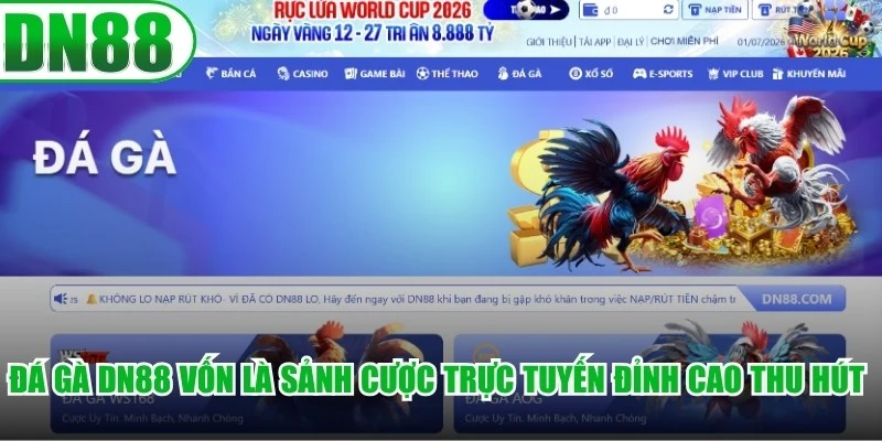 Đá gà DN88 vốn là sảnh cược trực tuyến đỉnh cao thu hút sư kê giải trí