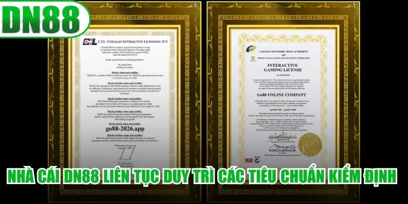Nhà cái DN88 liên tục duy trì các tiêu chuẩn kiểm định nghiêm ngặt